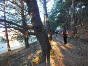 12 Bel sentiero nel bosco di pini cembri...